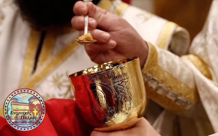 469896B9 237C 436C 8EA8 9B604B08B8F8 11zon 3